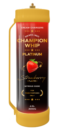 ChampionWhip-cream-charger--3000g-Strawberry