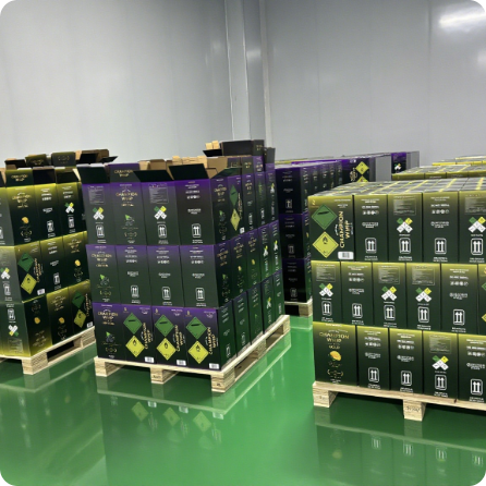  Low MOQ | Champion Whip