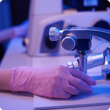  99.95% Purity | Champion Whip